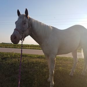 Meet your Posher, Joanna